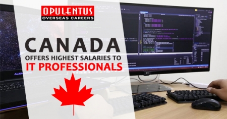 canada-offers-highest-IT-skilled-professionals