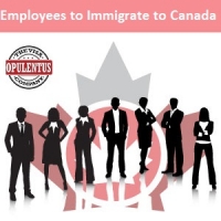 Skilled-Employees-to-Immigrate-to-Canada